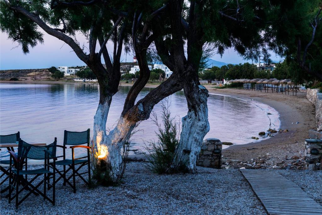 Pludmales skats ar koku un krēslu sēdvietām, saulrieta gaismā. Viegli viļņi un mierīga atmosfēra.
