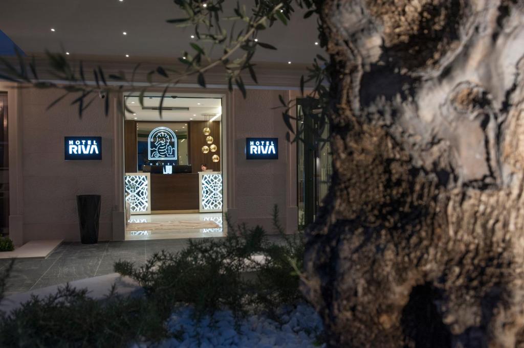 Mūsdienīgs viesnīcas "Riva" ieejas skats ar stilīgu reģistratūru un dekoratīviem elementiem, kas izceļ viesmīlību un komfortu. Ap sev ir redzami olīvkoki un ainava, kas piešķir unikālu atmosfēru.