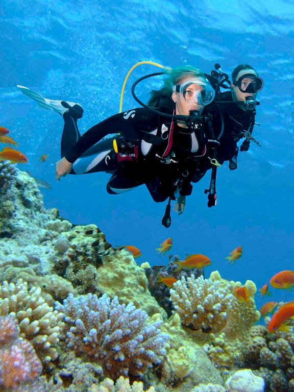 Divers explore a vibrant coral reef, surrounded by colorful fish in crystal-clear waters. The scene captures the beauty of underwater life and the excitement of scuba diving.