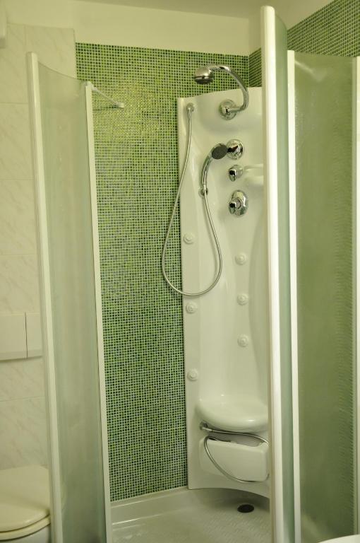 Mūsdienīgs dušas stūrītis ar zaļu mozaīkas sienu un hromētām detaļām. Dušas kabīne ir aprīkota ar rokas dušu un vairākām funkcijām.