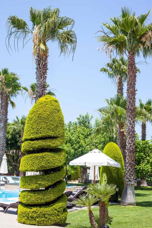 Skaista dārza ainava ar augstu palmu grupu un stilīgi veidotiem dzīvžogiem, kas rotā baseina zonu. Ideāla vieta relaksācijai un atpūtai.