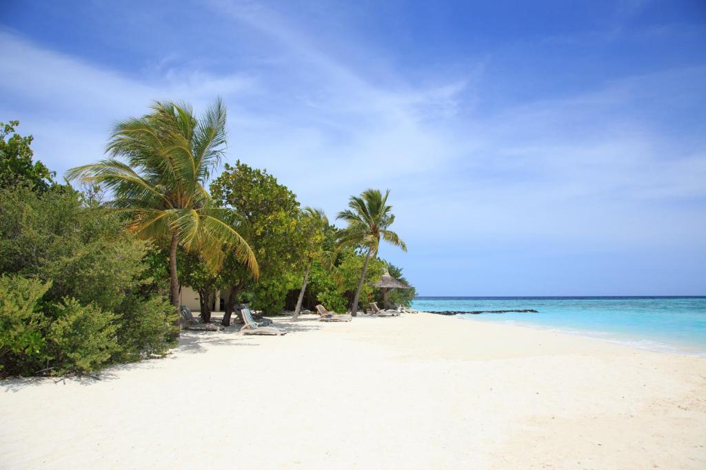 Klusais pludmales skats ar baltu smiltīm, palmām un dzidru zilo ūdeni, kas rada mierīgu atmosfēru. Ideāla vieta atpūtai un atjaunošanai.