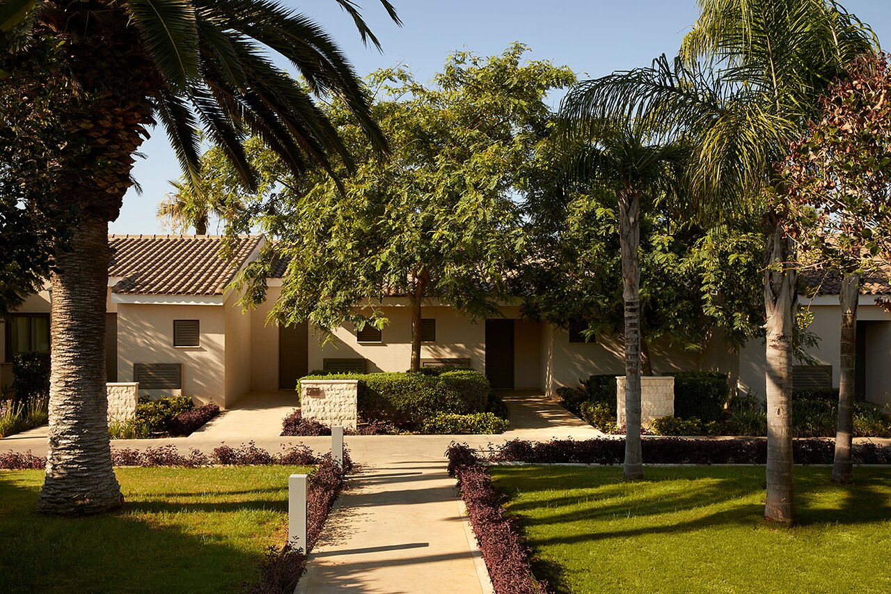 Mare Ayia Napa bungalo dārzs ar palmu kokiem