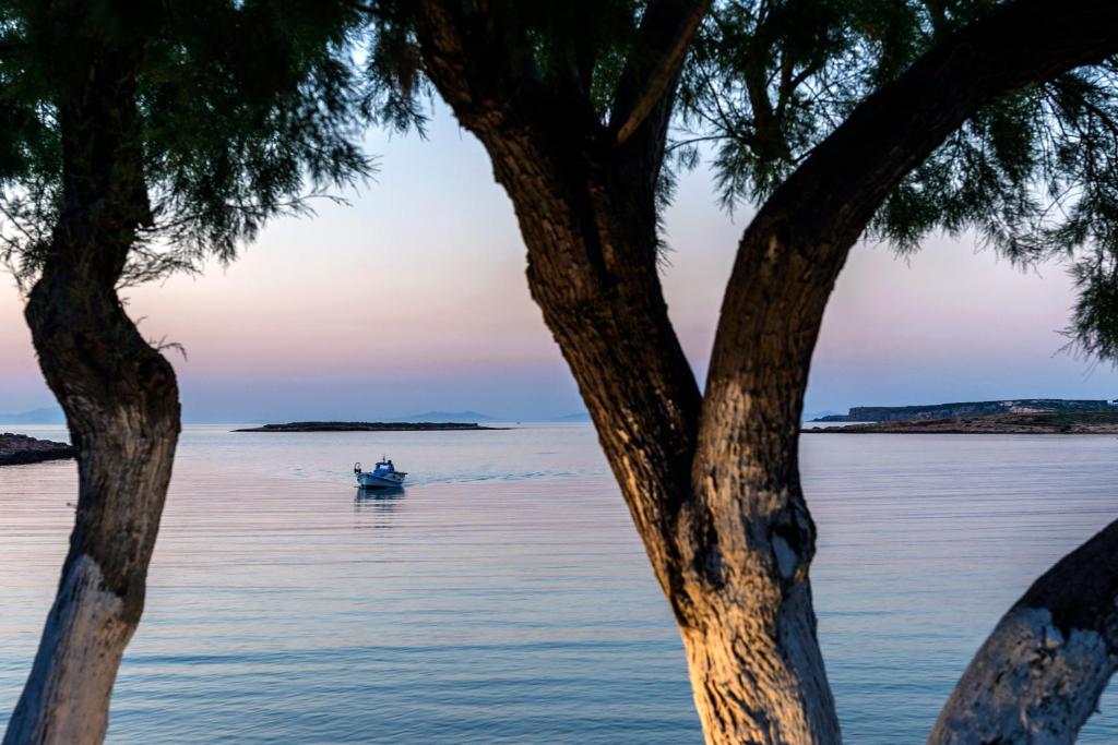 Jūrmala piekrastes ainava ar laivu, kas kuģo pa mierīgu ūdeni, ieskauta kokos. Rīta gaisma rada mierīgu atmosfēru.