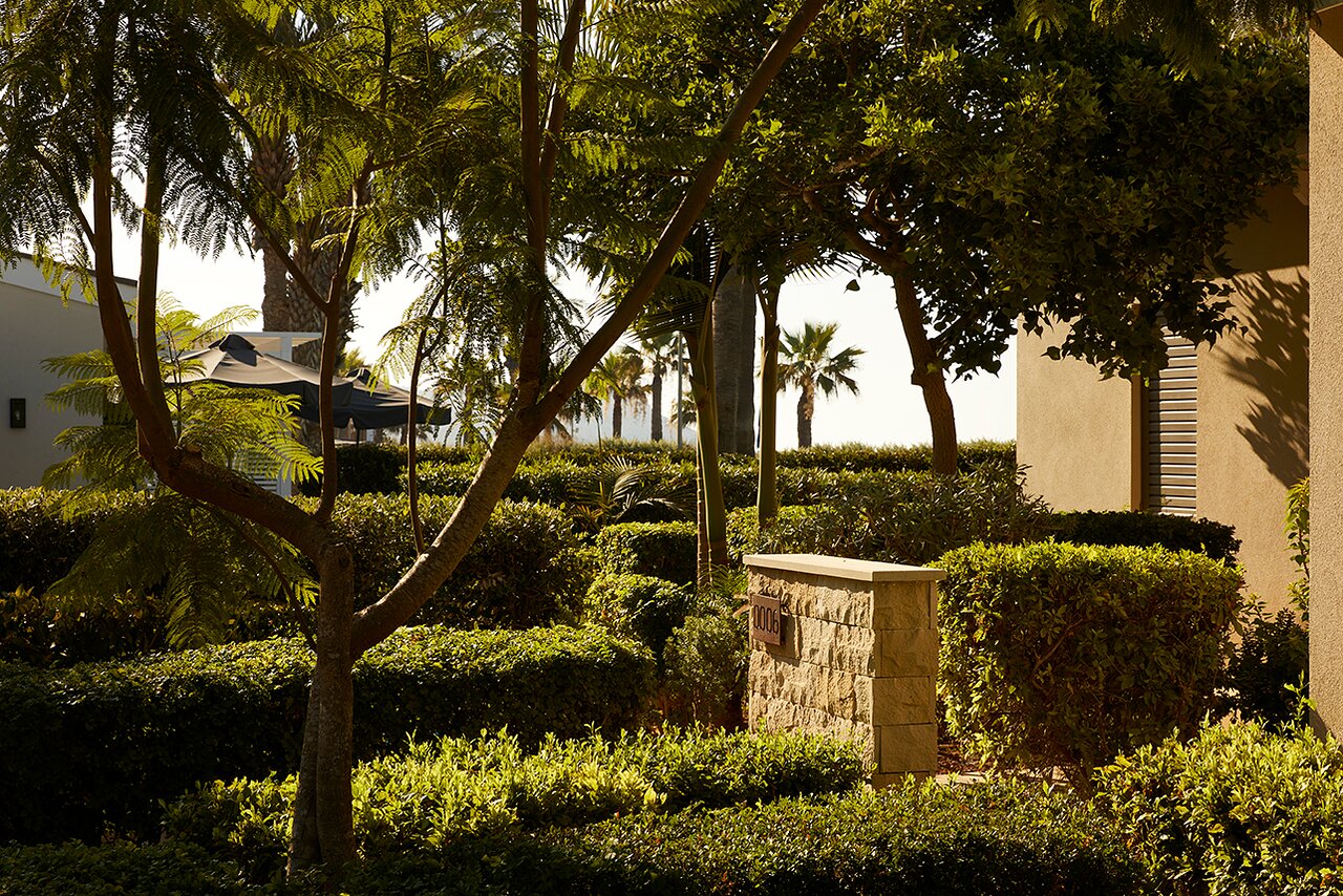 Klusā Mare Ayia Napa viesnīcas dārza ainava