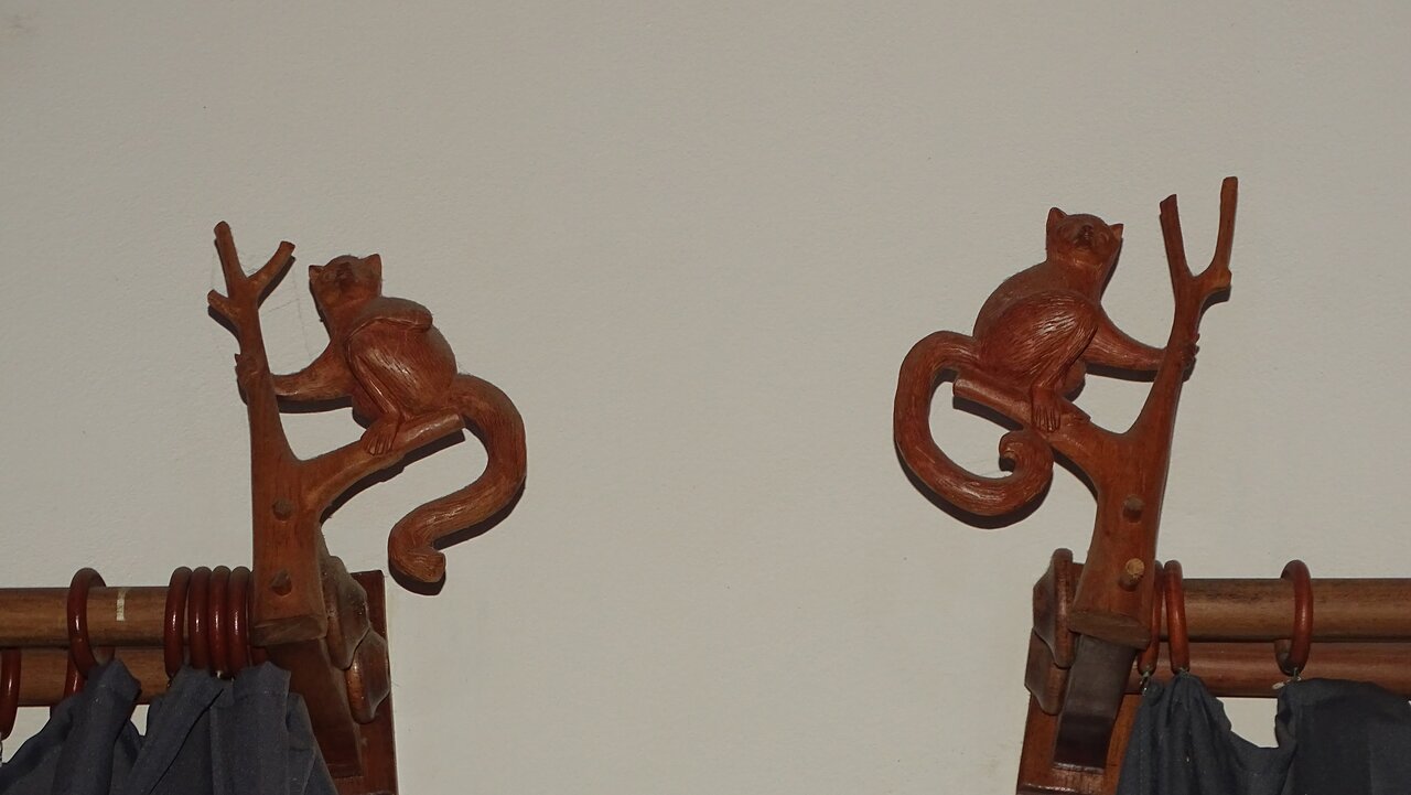 Koka grebumi ar pērtiķiem viesnīcā Artisan.