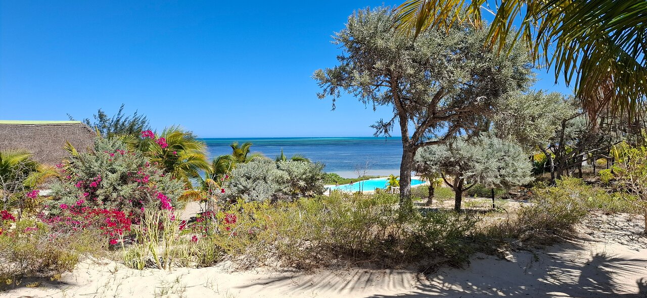 La Mira de Madiorano piekrastes skats ar kokiem un ziediem