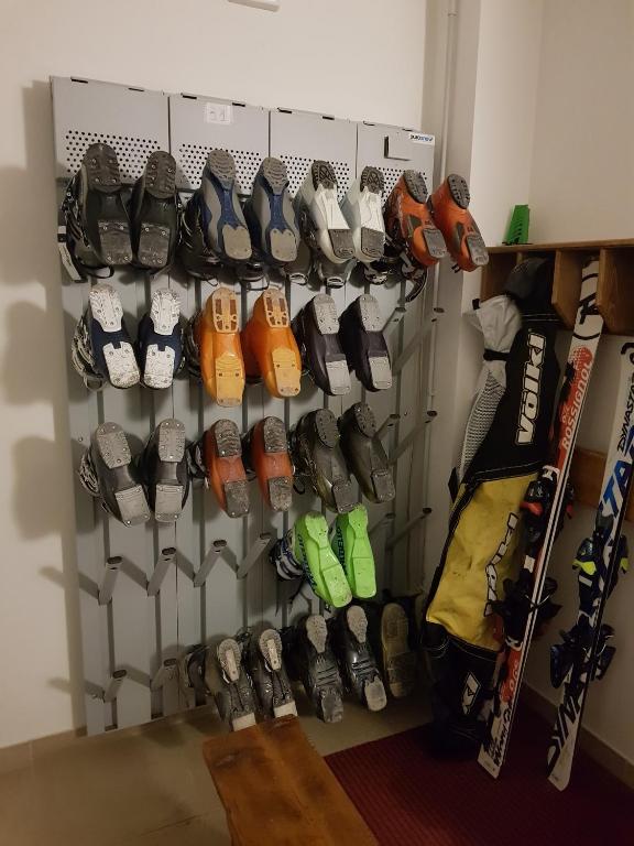 Skriešanas apavu stends ar dažādu krāsu un modeļu apaviem, kas piestiprināti pie sienas. Blakus atrodas slēpes un sporta ekipējums.