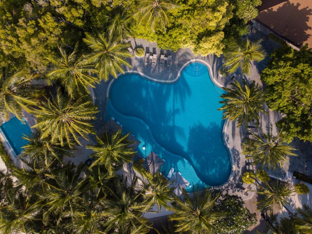 Baseins ar zilu ūdeni, ko ieskauj zaļas palmas un dārzs, radot tropisku atmosfēru. Sēdvietas ap baseinu ļauj atpūsties un baudīt apkārtējo dabu.
