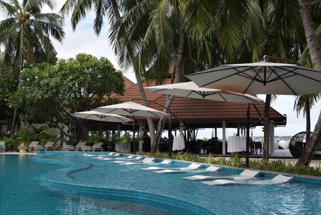 Luksusa viesnīcas baseins ar palmām un sauļošanās krēsliem, kas piedāvā relaksējošu atmosfēru. Viesnīcas bārs redzams fona daļā.