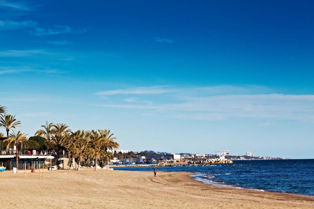 Pludmale ar palmām un skaidru zilu debesu fonu, kurā redzams viens cilvēks, kas staigā pa smilšaino krastu.