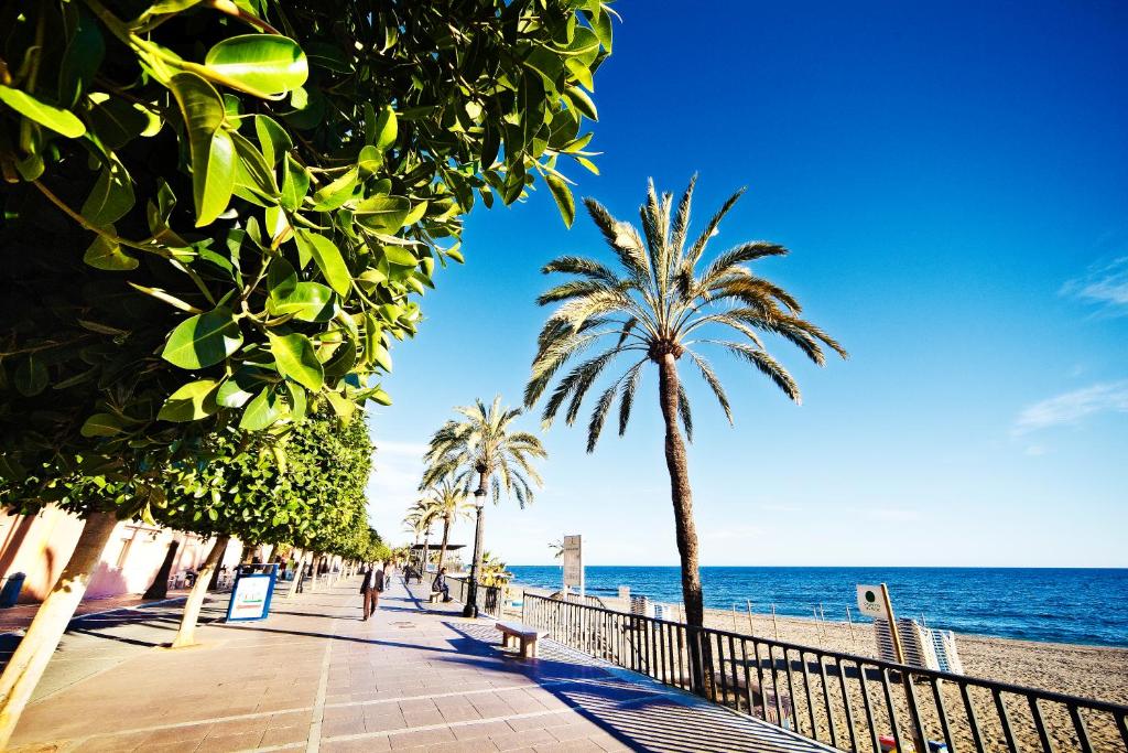 Pastaiga gar jūras krastu ar palmām un zaļiem kokiem, saulaina debesis un mierīga pludmales atmosfēra.