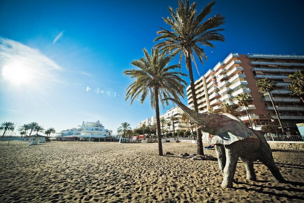 Pludmales ainava ar palmu kokiem un dekoratīvu ziloņa skulptūru, kas izceļas saulainā, skaidrā dienā. Fons ietver piekrastes ēkas un smiltis.