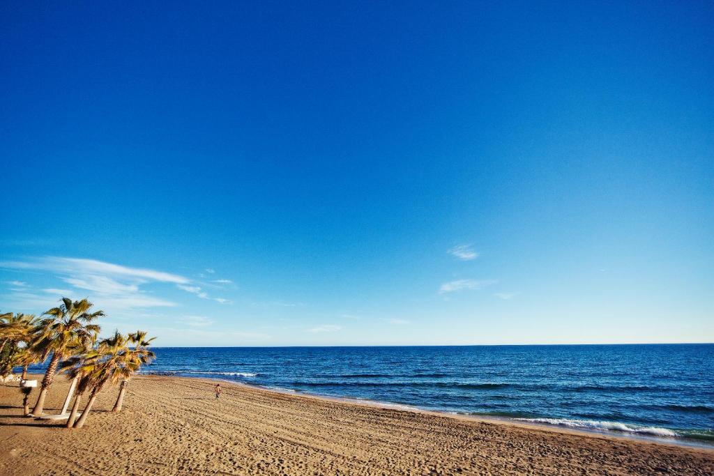 Skaista pludmale ar palmām un mierīgu jūru zem skaidra debesu fona.