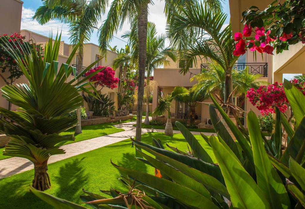 Tropisks dārzs ar zaļu zālienu, palmām un krāsainiem ziediem, kas veido mierīgu un relaksējošu atmosfēru. Dārza ceļš ved starp ēkām.