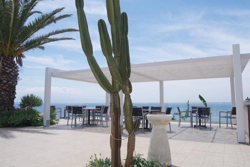 Trokšņainā terase ar skatu uz jūru, kurā ir kaktuss un ērtas sēdvietas, sniedz relaksējošu atmosfēru. Zilo debesu fons un zaļās augu detaļas piešķir ainavai dzīvotspēju.