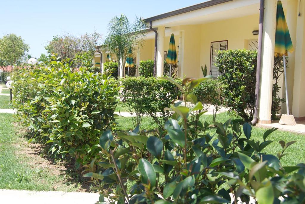 Zaļš dārzs ar krūmiem un saulainām ēkām fona, apstādījumi un saules aizsargpārklāji pie ieejām.