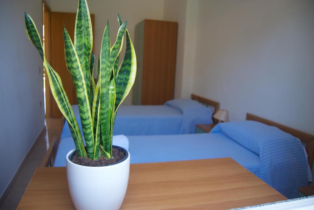 Mūsdienīga guļamistaba ar divām gultām un dekoratīvu augu uz koka galda. Gaismas toņi un vienkāršs interjers rada mierīgu atmosfēru.