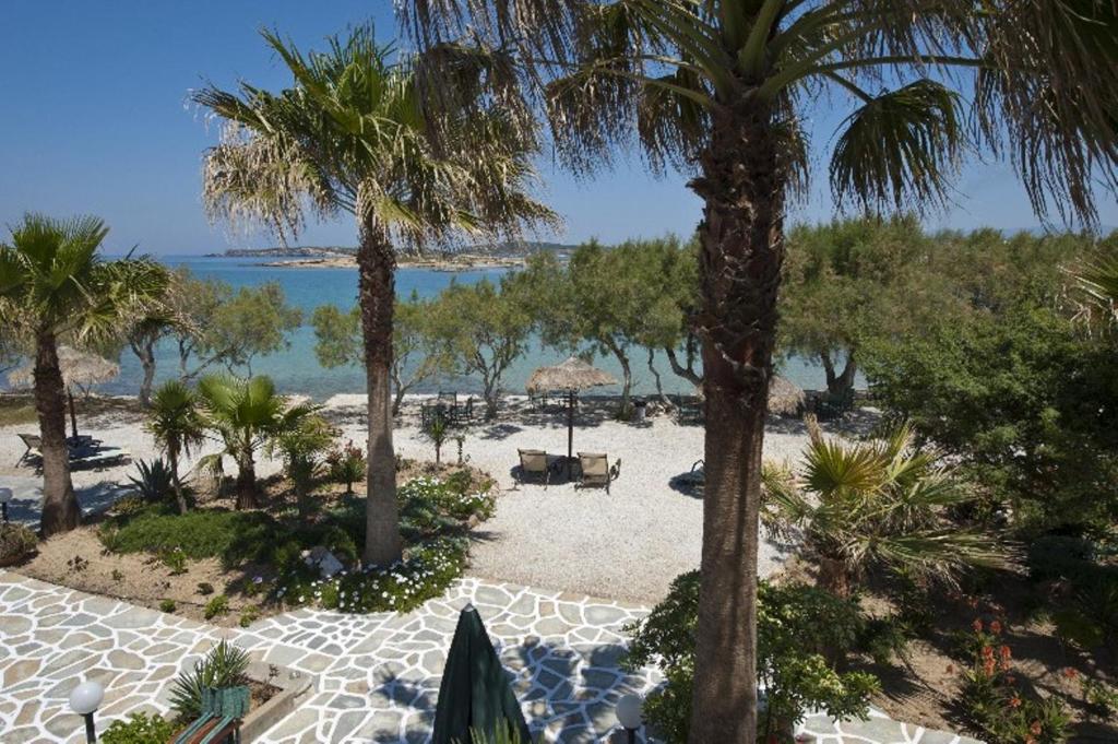 Pludmales skats ar palmām, mierīgu zilu ūdeni un smilšu krastu, radot relaksējošu atmosfēru. Ideāla vieta atpūtai un brīvā laika pavadīšanai.