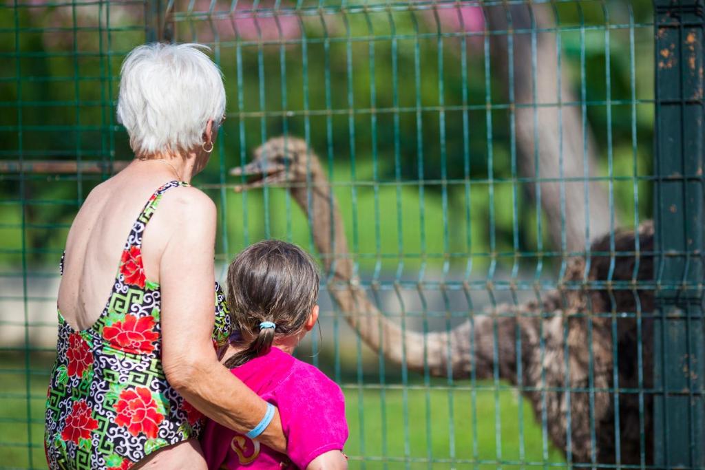 Vecāka gadagājuma sieviete un meitene skatās uz strausu zooloģiskajā dārzā, aiz žoga, kas nodrošina drošību. Gaisma ir spilgta un vasarīga, radot jautru atmosfēru.