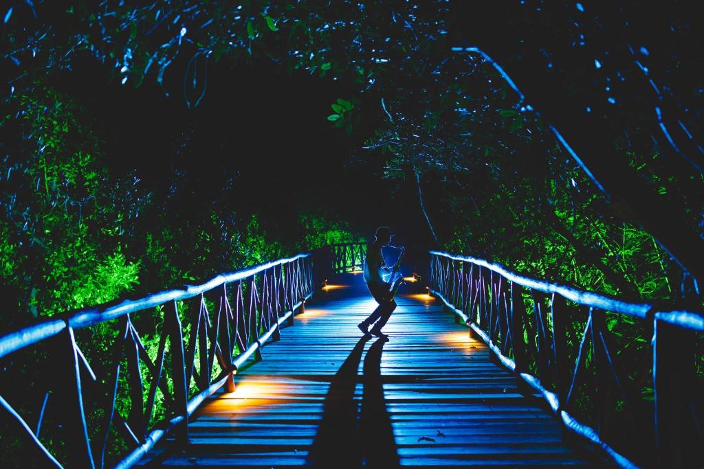 Gaismas ceļš ved cauri tumšam mežam, kur krāsainās gaismas izgaismo koka tiltu un tā apmeklētāju, kas dejā izsaka brīvību un prieku.