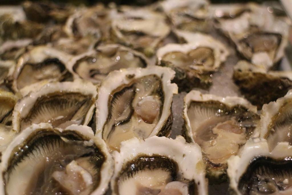 Svaigi atvērtas austeres uz ledus, gatavas pasniegšanai. Ideāli piemērotas jūras velšu mīļotājiem.