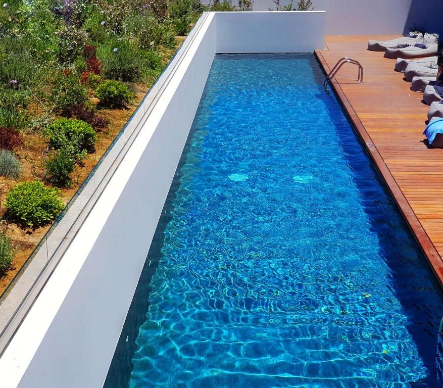 Mūsdienīgs peldbaseins ar dzidru, zilu ūdeni, ieskauts skaistā dārzā ar zāli un augiem. Blakus baseinam ir koka terase ar sauļošanās krēsliem.