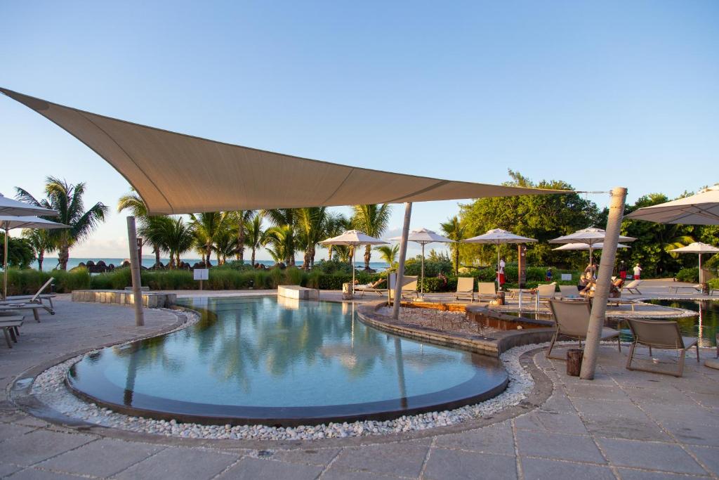 Vasaras atpūtas zonas skats ar peldbaseinu, palmu kokiem un saulessargiem, kas nodrošina ēnu. Ideāla vieta relaksācijai pie ūdens.