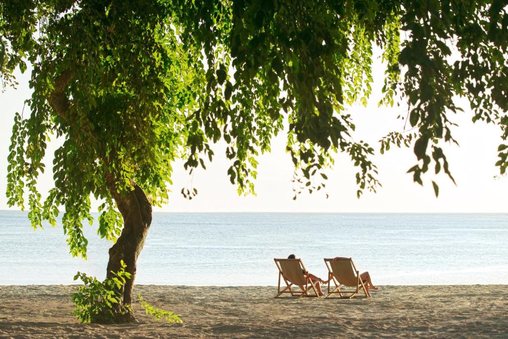 Pludmales ainava ar divām atpūtas krēsliem zem koka, blakus mierīgai jūrai. Ideāla vieta relaksācijai un atpūtai.