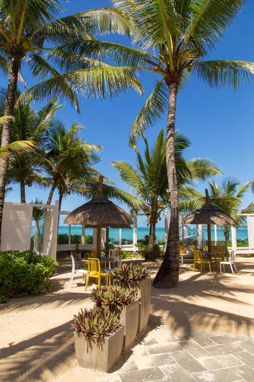 Tropu pludmales zona ar palmām, sēdvietām un jumtiem, kas nodrošina ēnu, pretī zilo okeānu. Ideāla vieta atpūtai un relaksācijai.