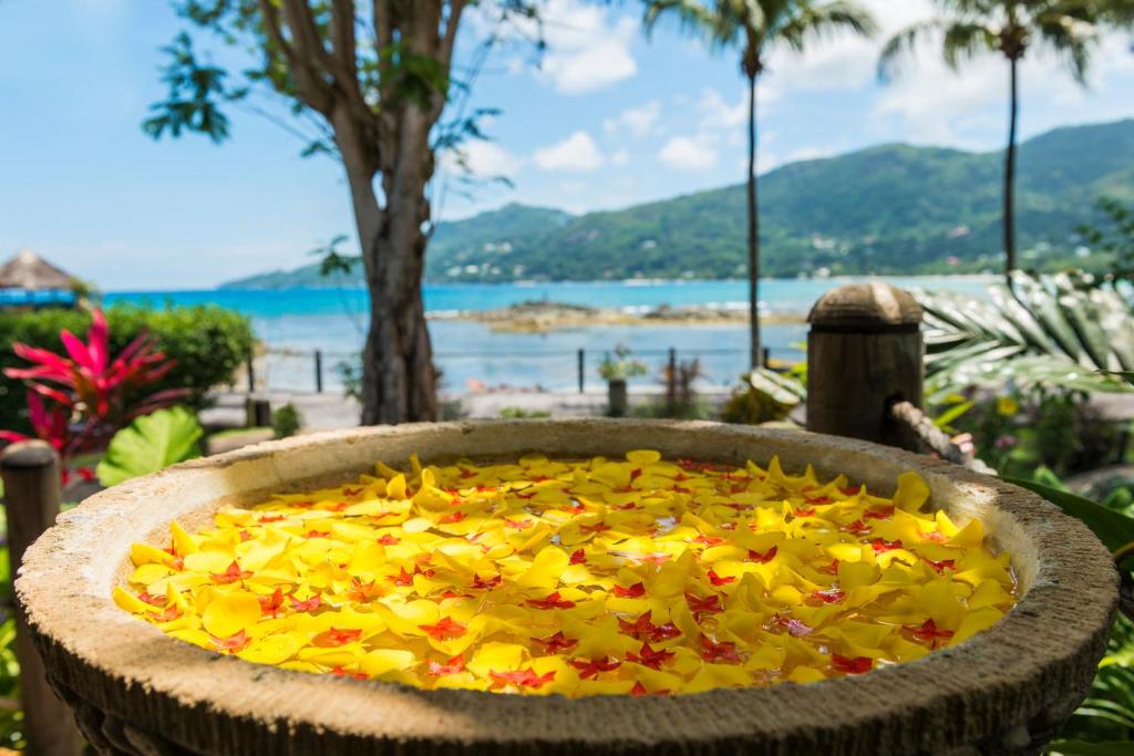 Katrā dīķī skaisti ziedi uz ūdens, ar zeltainām un sarkanām ziedlapiņām, apņemts ar zaļām palmu lapām un zilo okeānu fonā. Ideāls tropu atpūtas attēls.