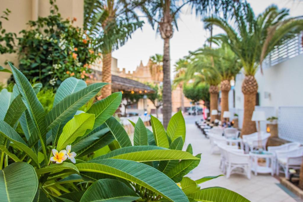 Tropu ainava ar palmām un ziediem, kas rada relaksējošu atmosfēru. Fons ar atpūtas zonām un viesnīcas elementiem.