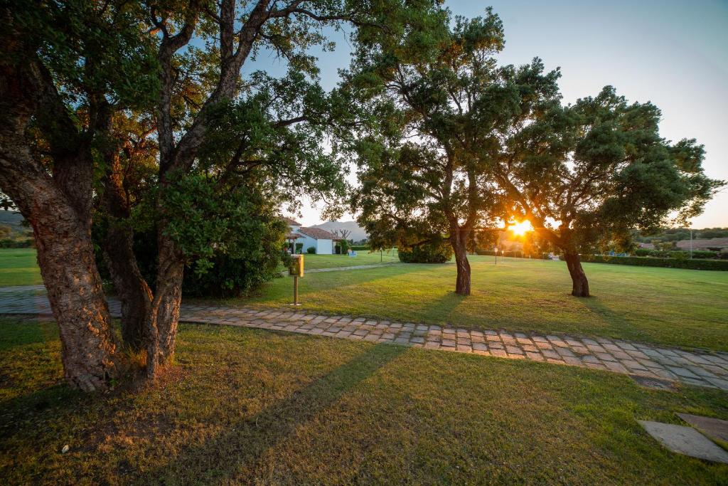 Saulriets staro caur kokiem, veidojot mierīgu ainavu ar zālienu un akmens celiņu. Šī ainava rada relaksējošu atmosfēru.
