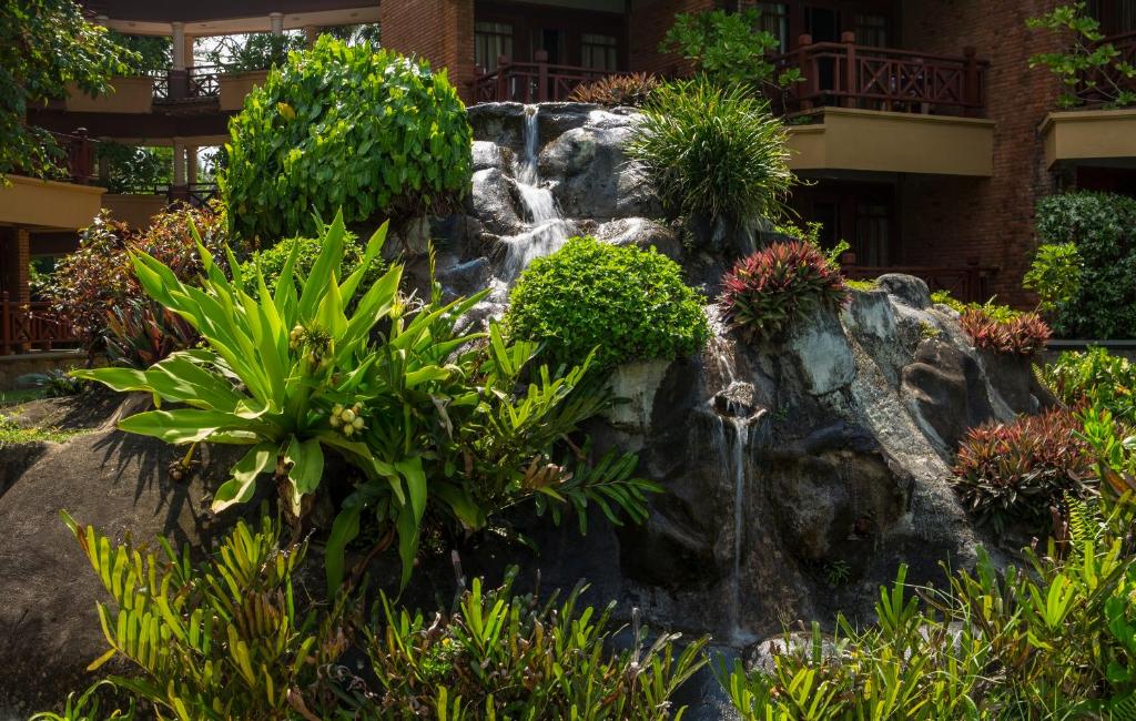 Dabīgā akmens ūdenskrituma ainava ar zaļām augu kompozīcijām un sulīgām lapām, kas piešķir mierīgu atmosfēru. Fons veido viesnīcas arhitektūra, kas papildina kopējo dabu.