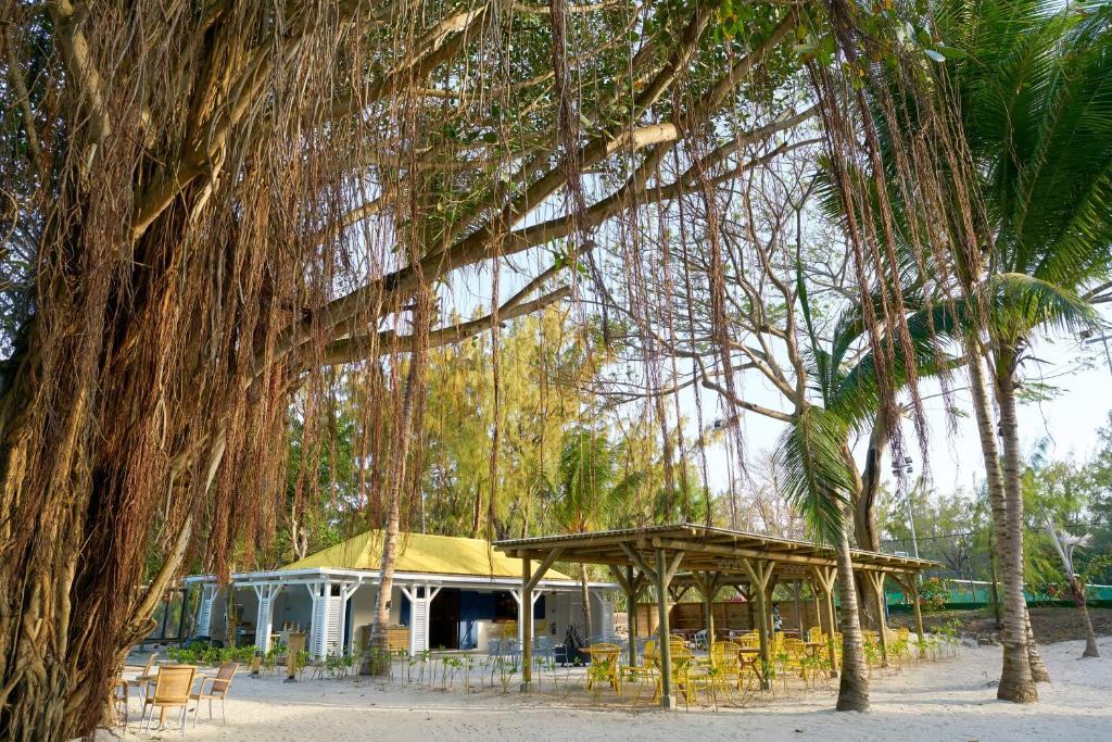 Pludmales kafejnīca ar ainavisku koku fonu, koka konstrukciju un dārza mēbelēm, kas rada relaksējošu atmosfēru.