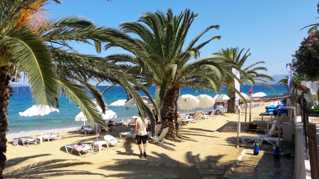 Pludmales aina ar palmām un sauļošanās krēsliem, blakus zilam jūrai un baltām saulessargiem. Ideāla vieta atpūtai un relaksācijai.