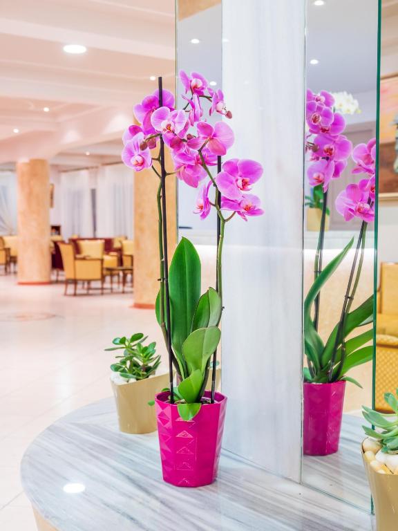 Rozā orhideja podā ar zaļām lapām, novietota uz marmora virsmas, atspoguļojas spogulī, radot elegantu atmosfēru interjerā.