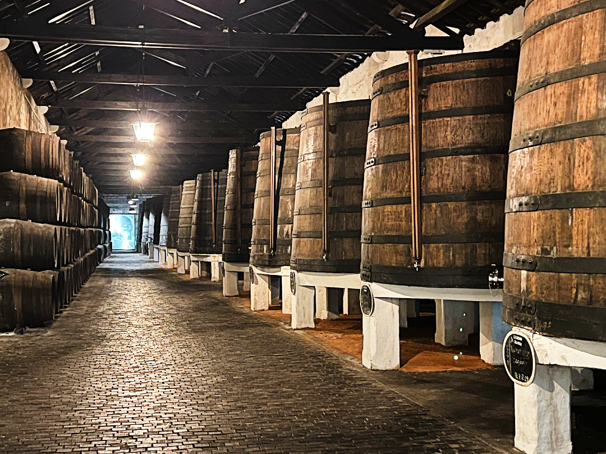 Ferreira vīna pagrabs Porto – portvīna degustācija ceļojumā ar Vanilla Travel