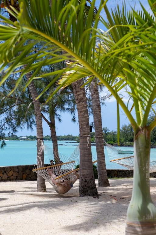 Viegla šūpuļtīkla ainava starp palmām pie krāsainas piekrastes ūdeņu un smilšu pludmales.