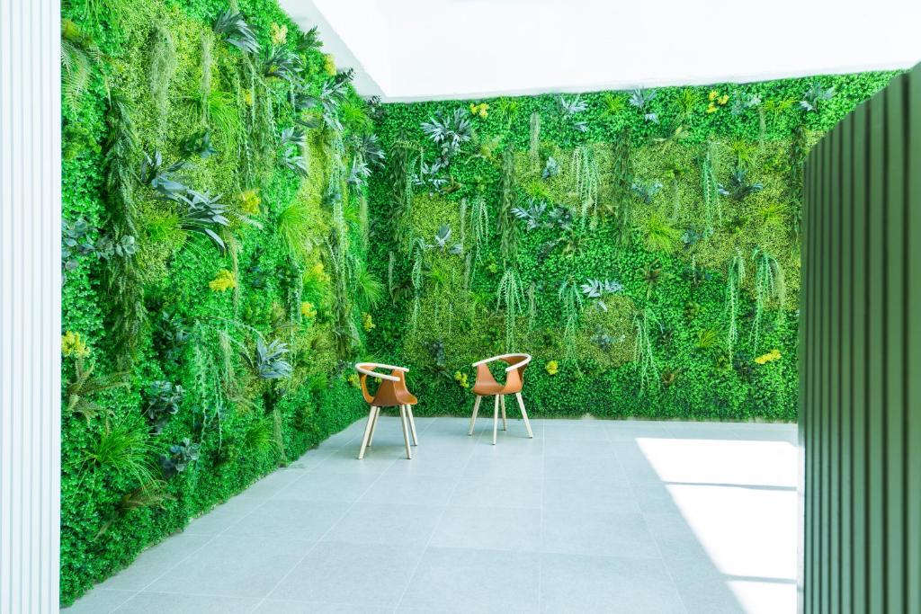 Zaļš vertikāls dārzs ar dažādiem augiem, kas rotā sienu, un divas koka krēsli telpā ar gaišu grīdu.