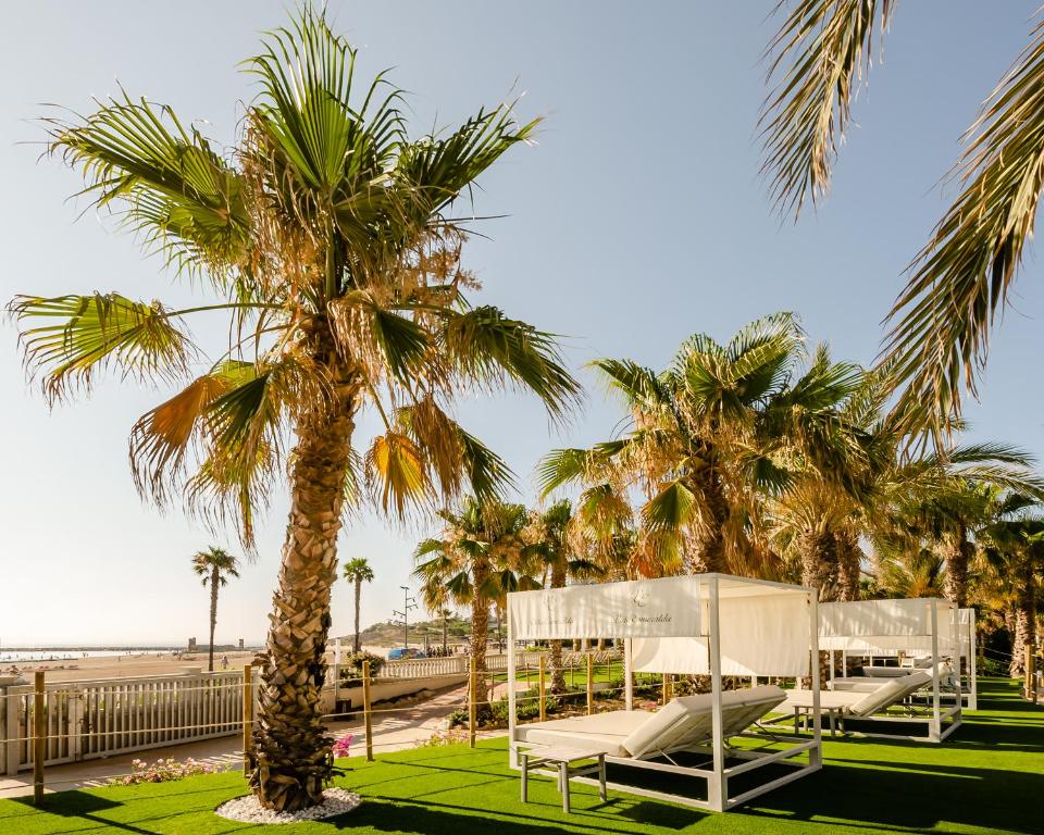 Tropu pludmales ainava ar palmām un baltiem atpūtas krēsliem, kas izvietoti uz zaļā zāliena. Distantēta pludmale ar saules gaismu un skaidru debesu fonu.