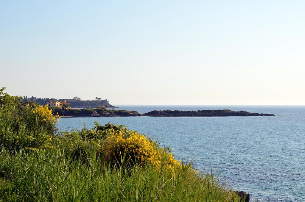 Krasta ainava ar zālēm un dzeltenām puķēm, kas izceļas pret jūras fona, kur redzama tālu esoša māja un klints.