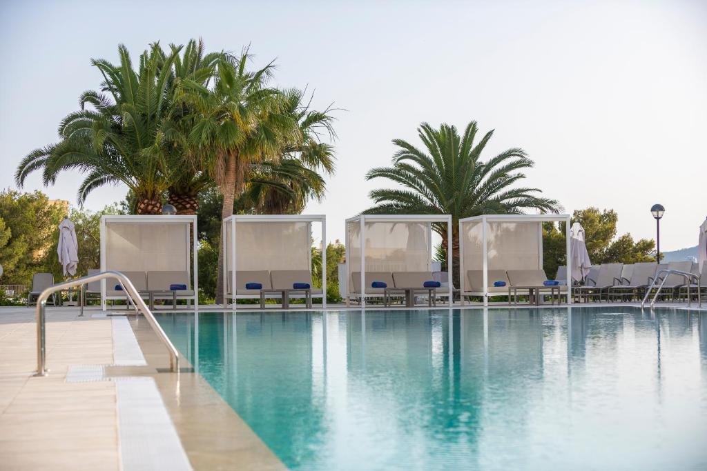 Baseins ar palmām un atpūtas zonām, ideāls relaksācijai saulainā dienā. Uzkarsēts ūdens un ērtas gultas nodrošina komfortu.