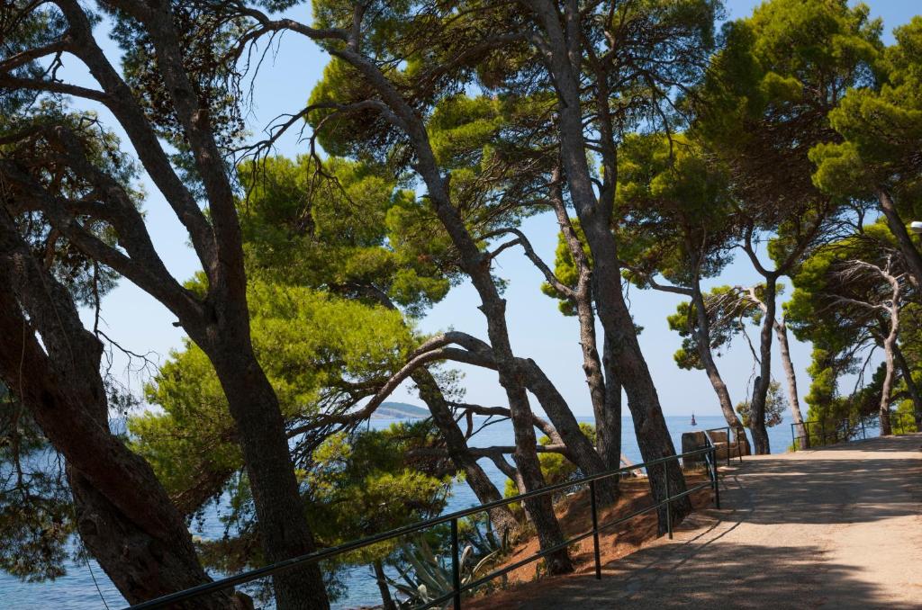 Pastaigas takas gar krastu, ko ieskauj augsti priedes un zils jūras ūdens.