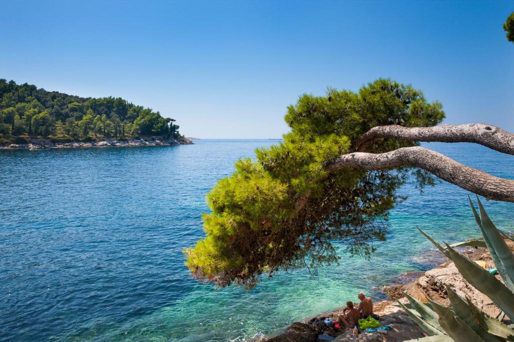 Skaists piekrastes skats ar skaidru ūdeni un zaļām koku lapām, kur divi cilvēki relaksējas pie ūdens.