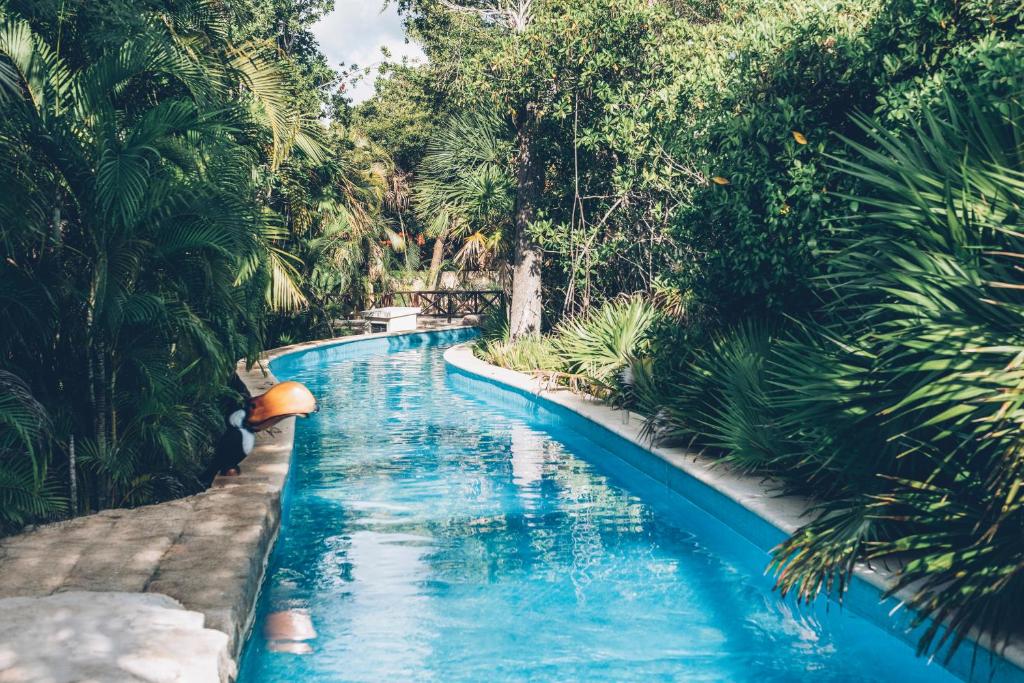 Tropiska ainava ar skaidru baseinu, ko ieskauj zaļa veģetācija un palmām. Baseins plūst cauri ainavai, radot mierīgu atmosfēru.