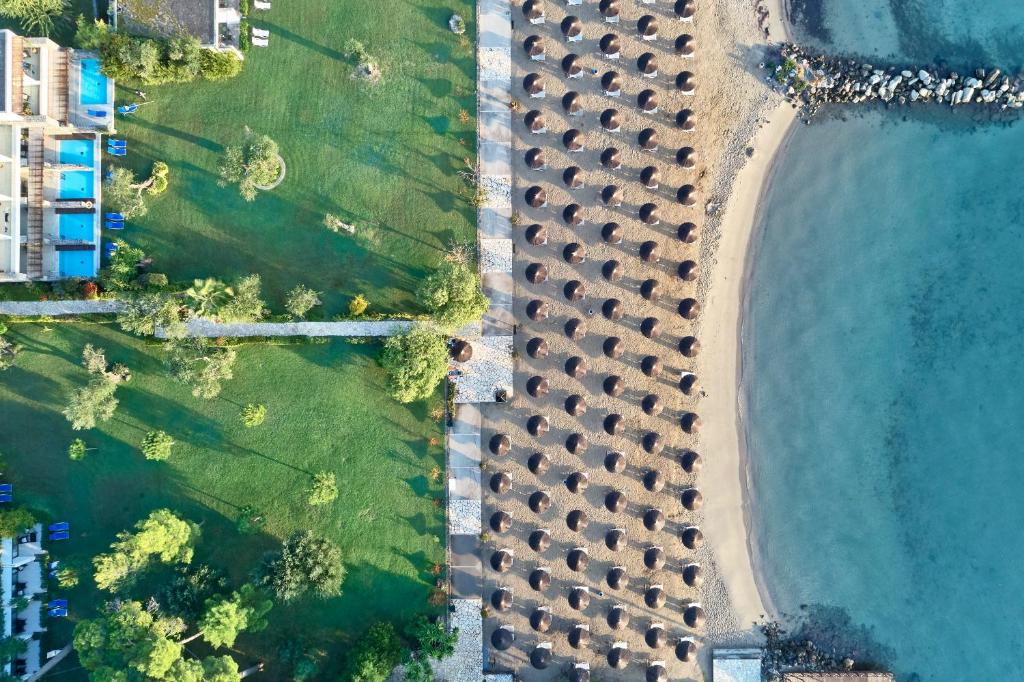 Gaisa skats uz pludmali ar noēnotiem sauļošanās krēsliem un ainavisku zālienu, kas piekļaujas skaidrajam ūdenim. Ideāla ainava relaksācijai un atpūtai.