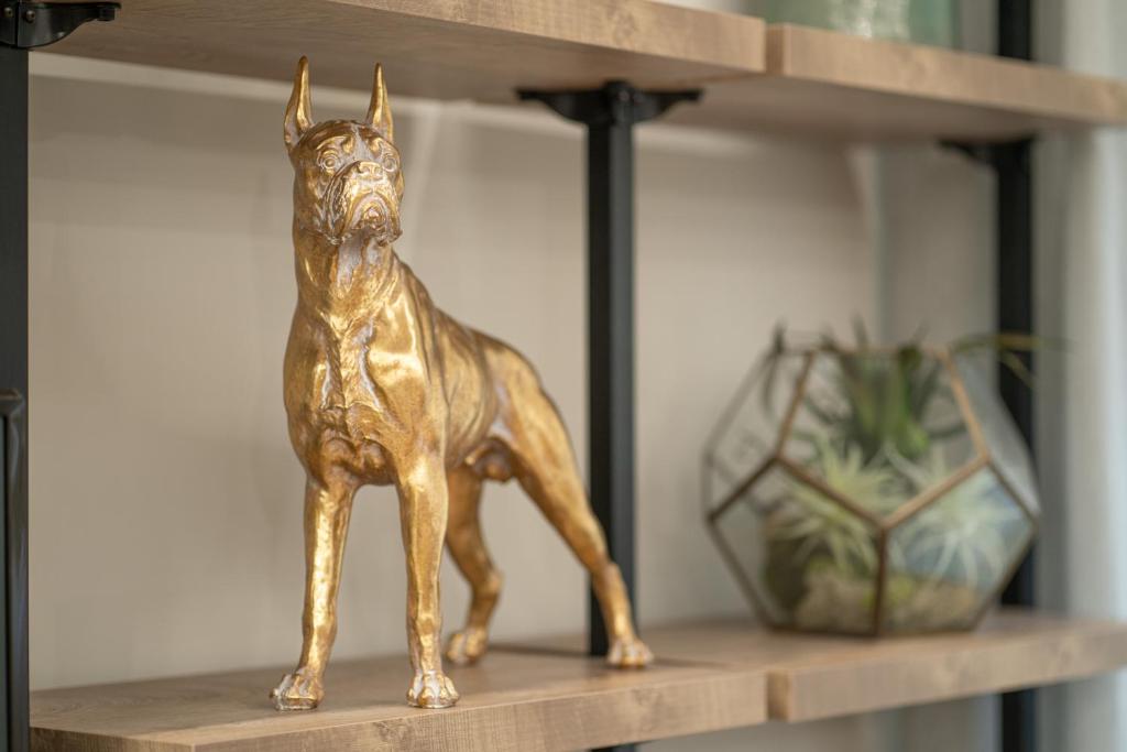 Zelta suņa statuja uz koka plaukta, blakus stikla terārijs ar augiem.