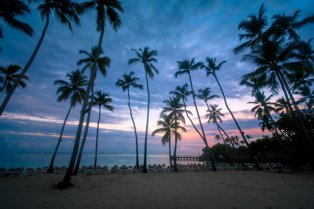 Pludmales ainava ar palmām, saulriets un mierīga jūra veido relaksējošu atmosfēru. Silti toņi un mākoņi piešķir ainavai burvīgu noskaņu.
