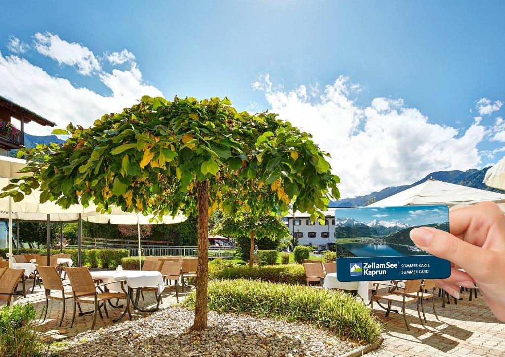 Dārzs ar zaļo koku un atpūtas zonu, kur viesi var baudīt dabu, turēdami rokās Zell am See-Kaprun vasaras karti. Skats uz kalniem un mājām, kas rada mierīgu atmosfēru.